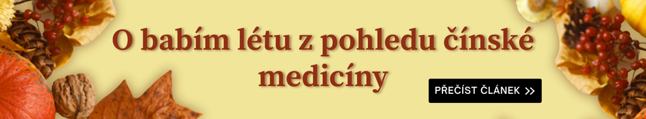 O babím létu z pohledu TČM