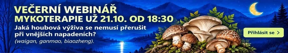 Večerní webinář Mykoterapie