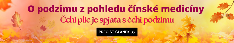 O podzimu z pohledu čínské medicíny