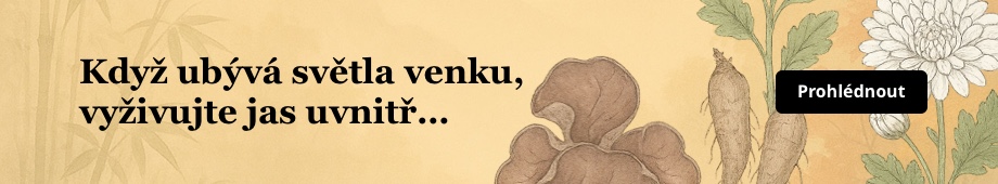 Projasnění podzimu