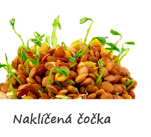 Naklíčená čočka