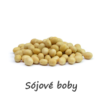 Sojové boby