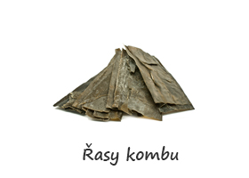 Mořské řasy kombu