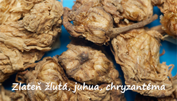 Zlateň žlutá, juhua, chryzantéma - sušená