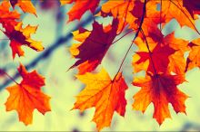 Podzimní krátká TČM zamyšlení