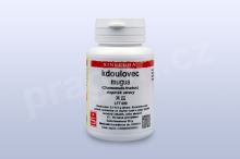 kdoulovec, mugua - 20 g - instantní prášek