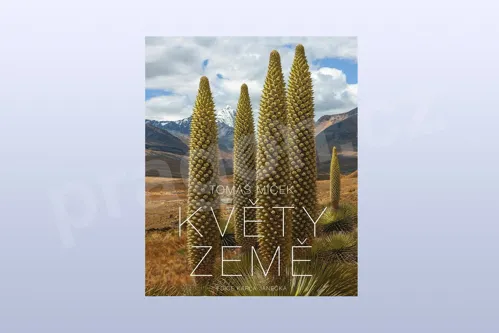 Květy Země, Tomáš Míček