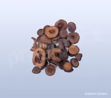 Pomeranč hořký nezralý, zhishi, Aurantii fructus immaturus-nahled_2 (1)