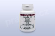 moruše-list, sangye - 20 g - instantní prášek