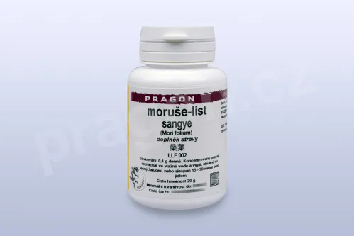 moruše-list, sangye - 20 g - instantní prášek_P