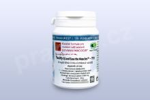 Doplnění čchi a lehkost svalů - T11 pian/tablety Doplnění čchi a lehkost svalů - T11 pian/tablety