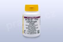 WCE9.9 - yupingfeng san - pian/tablety 36 tbl. PRAGON