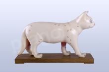 Akupunkturní model kočka, 28cm - akumodel