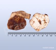 Kůra mandarinky, chenpi – kval. B (kuchyňská) 50 g_detail (2)