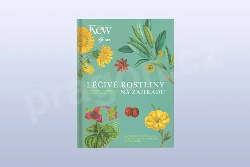Léčivé rostliny na zahradu