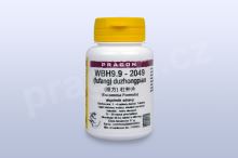 WBH9.9 - duzhongpian - pian/tablety 36 tbl. PRAGON