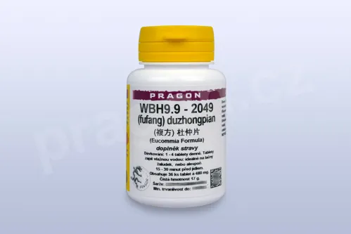 WBH9.9 - duzhongpian - pian/tablety PRAGON_PC