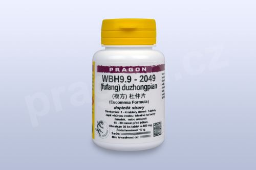 WBH9.9 - duzhongpian - pian/tablety PRAGON_PC