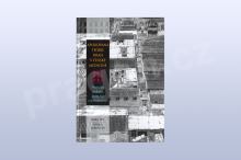 Aplikovaná teorie drah v čínské medicíně, Wang Juyi