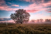 Pozdně podzimní hřejivé velké dvojité dovyplňování