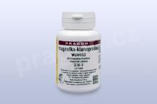 magnolka, klanopraška, schizandra čínská, wuweizi 20 g - instantní prášek