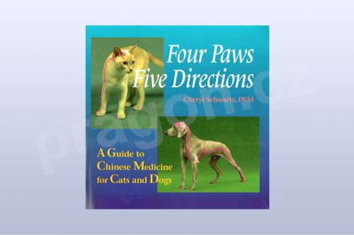 Four Paws Five Directions: A Guide to Chinese Medicine for Cats and Dogs