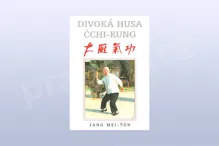 Divoká husa čchi-kung - Jang Mei-ťün Divoká husa čchi-kung - Jang Mei-ťün