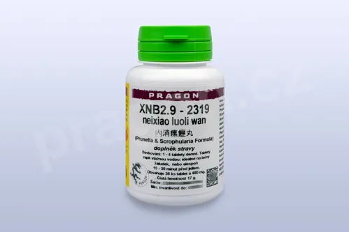 XNB2.9 - neixiao luoli wan - pian/tablety PRAGON