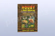 Houby z Boží lékárny, Radomír Socha; Aleš Vít