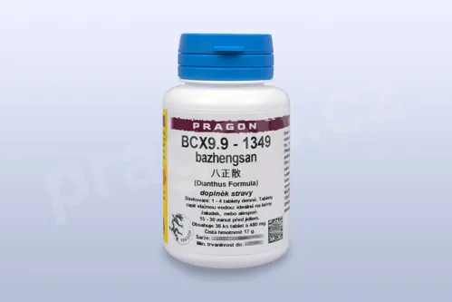 BCX9.9 - bazhengsan - pian/tablety PRAGON