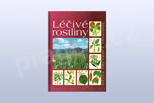 Léčivé rostliny - Ottův průvodce přírodou (kniha)