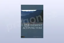 The Simple Guide to Five Element Acupuncture paperback The Simple Guide to Five Element Acupuncture paperback