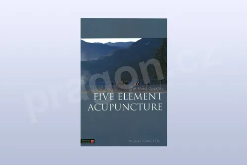 The Simple Guide to Five Element Acupuncture paperback