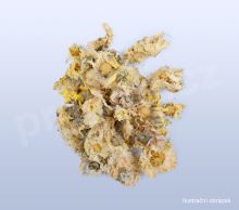 Zlateň bílá, baijuhua, Chrysanthemi flos 30 g_1 (1)