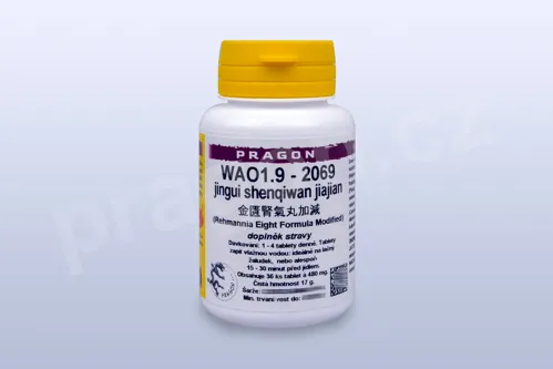 WAO1.9 - jingui shenqiwan jiajian - pian/tablety PRAGON