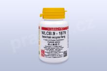 WLCB.9 - baochan wuyou fang - pian/tablety SINECURA