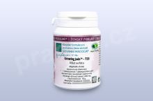 Růst nefritu - T53 pian/tablety Růst nefritu - T53 pian/tablety