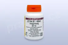 ZCH4.8 - shugantang - pian/tablety 36 tbl. PRAGON