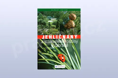 Jehličnany a stále zelené rostliny v zahradě - Kiss Marcell