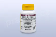 WBF9.9 - banxia baizhu tianma tang - pian/tablety 36 tbl. PRAGON WBF9.9 - banxia baizhu tianma tang - pian/tablety 36 tbl. PRAGON