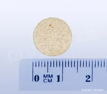Cordyceps–MRL biomasa-tableta-pravitko (2)