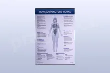 How Acupuncture Works