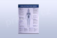 How Acupuncture Works