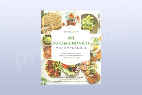Kuchařka při autoimunitních onemocněních, van Llewyn, Sophie