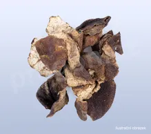 Kůra mandarinky, chenpi – kval. B (kuchyňská) 50 g_1 (1)