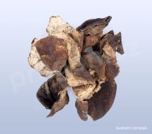 Kůra mandarinky, chenpi – kval. B (kuchyňská) 50 g_1 (1)