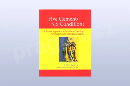 Five Elements, Six Conditions: A Taoist Approach to Emotional Healing, Psychology, and Int