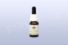 Banksia Robur, květová esence 30 ml