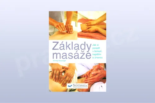 Základy masáže - jak si poradit s bolestí, napětím a únavou - Wendy Kavanagh
