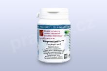 Prospívající země - T71 pian/tablety